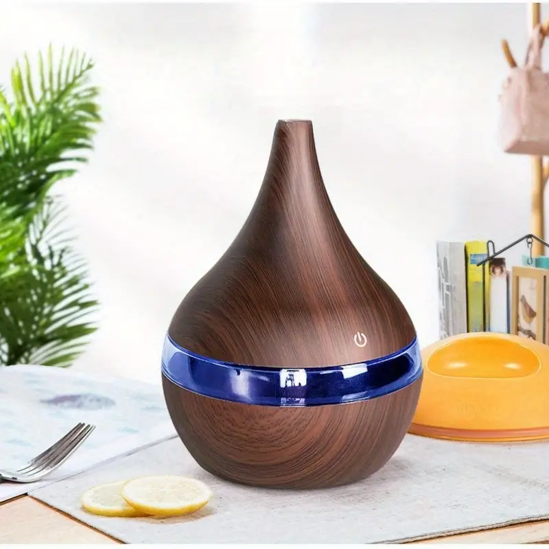 Humidifier for Room Moisture, Aroma Diffuser for Home (2 year warranty)