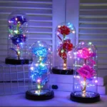 Colorful Preserved Rose in Glass Dome